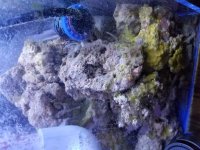 20161210_170359.jpg
