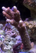 7B8EA2DC-E487-43DC-AD95-EC4FAAA0D7C3.jpg