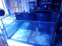 20170426_135100.jpg