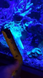 20161210_165028.jpg