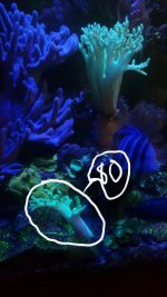 Screenshot_2016-12-10-16-56-41.jpg