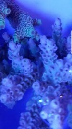 Screenshot_20180315-120443.jpg