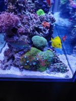 IMG_20170926_100437.jpg