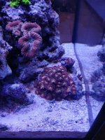 IMG_20170926_100419.jpg