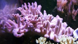 20160613_135841329.jpg