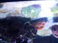 20180608_184714.jpg
