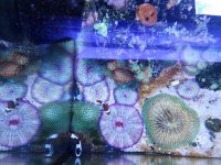 20180608_184726.jpg