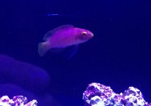 IMG_3291.jpg