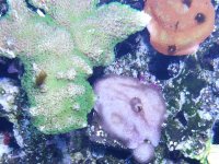 20180608_184747.jpg