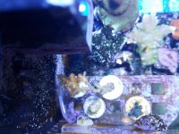 20180608_184758.jpg