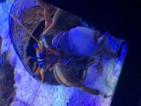IMG_8654.jpg