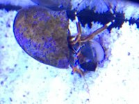 IMG_8614.jpg