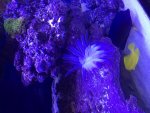 IMG_4867.jpg