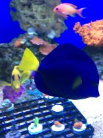 IMG_0463.jpg