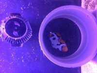 IMG_3351.jpg