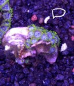IMG_20170926_172702.jpg