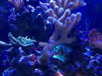 IMG_1106.jpg