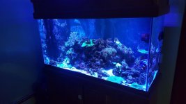 2604CD12-E319-45F3-BE96-A3E05CE8A6EA.jpg