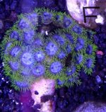 IMG_20170926_172654.jpg