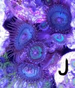 IMG_20170926_173924.jpg