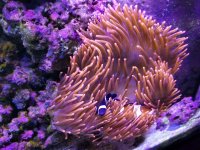 20170930_135711.jpg