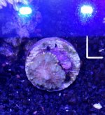 IMG_20170926_173741.jpg
