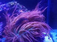 20161214_152725.jpg