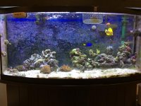 IMG_0723.jpg