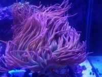 20161214_152710.jpg