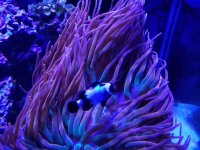 20161214_144911.jpg