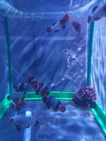 IMG_20180609_102502_1.jpg