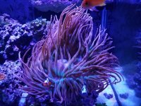 20161214_144903.jpg