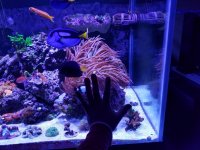 20161214_144322.jpg
