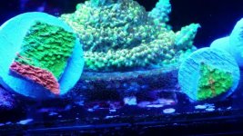 IMG_20170710_193723.jpg