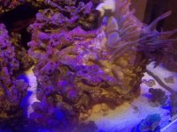 20161214_211555.jpg