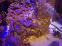 20161214_211617.jpg
