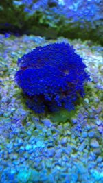 IMG_6024.jpg