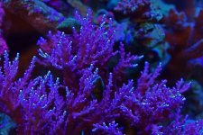 IMG_4544.jpg