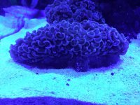 IMG_3857.jpg