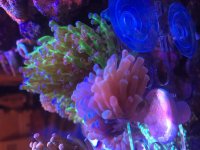 IMG_3871.jpg