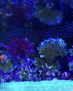 IMG_1105.jpg