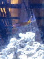 IMG_20180315_194802.jpg