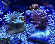 IMG_1106 2.jpg