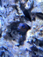IMG_20180314_200832.jpg