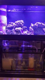 Tank with Sump Shot.jpg