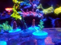 20161215_185742.jpg