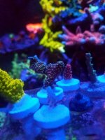 20161215_193504.jpg