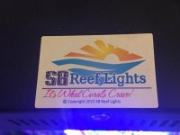 IMG_1193.jpg