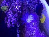 IMG_4867.jpg