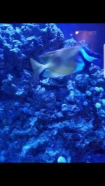 Screenshot_20180611-125956.jpg